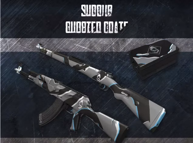 pubg-s-level-playing-field-shroud-s-ban-proves-rules-apply-to-all-image-1